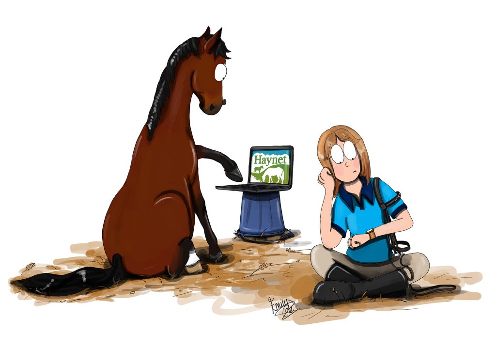 5 Reasons To Start Writing Your Equestrian Blog