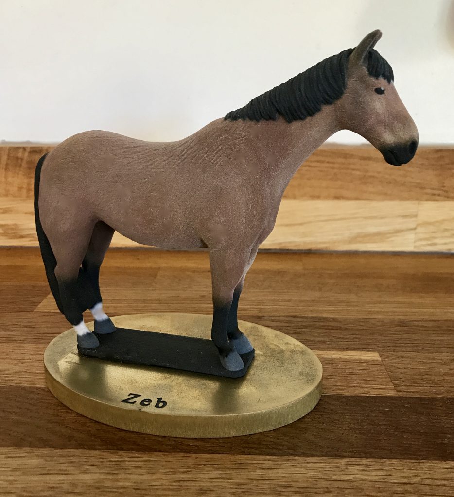 Making Your Horse Into A 3D Memory