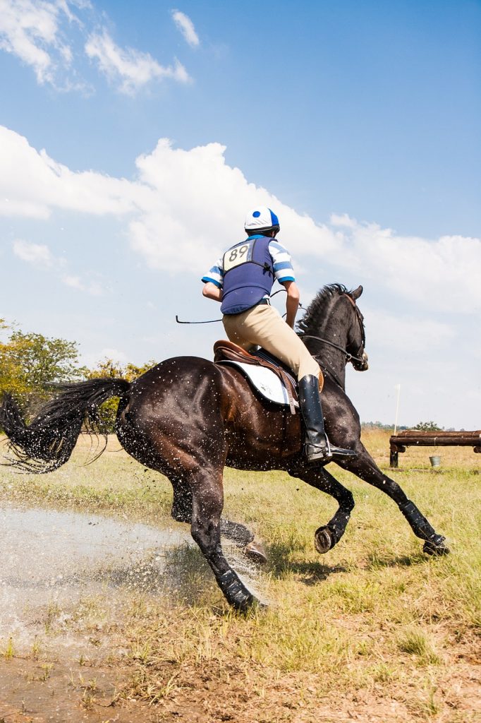 5 Top Tips When Buying An Event Horse