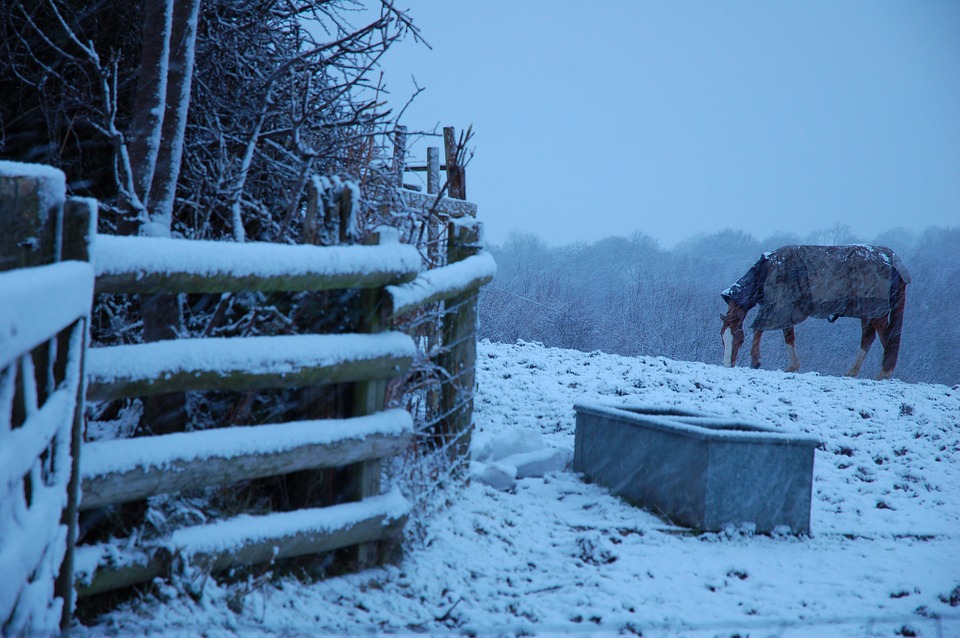 Five Things You Need To Get You Through Winter With Horses