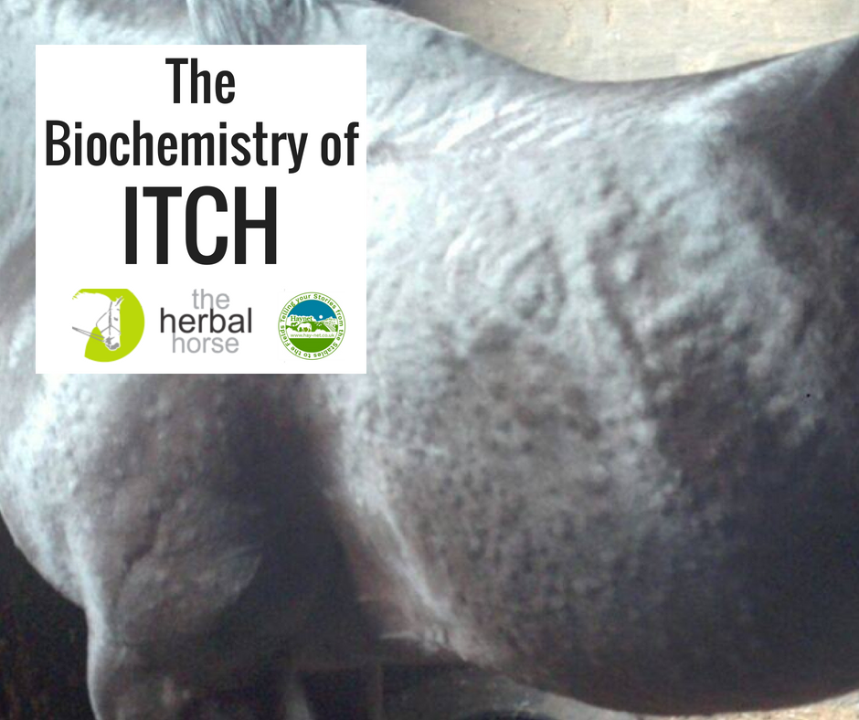The Biochemistry of Itch