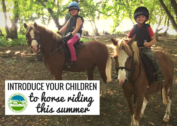 Introduce Your Children To Horse Riding This Summer