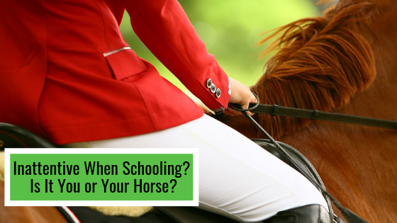 Inattentive When Schooling? Is This You Or The Horse?