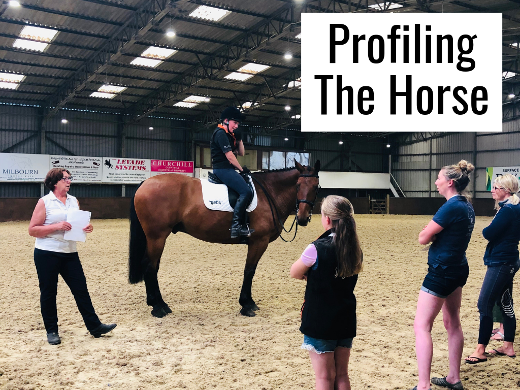 Profiling The Horse