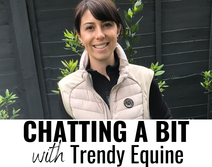Chatting A Bit with Trendy Equine
