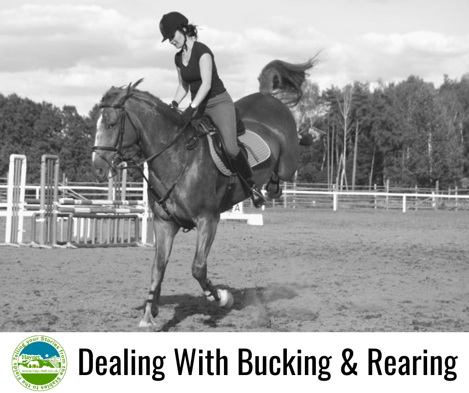 Dealing With Bucking & Rearing