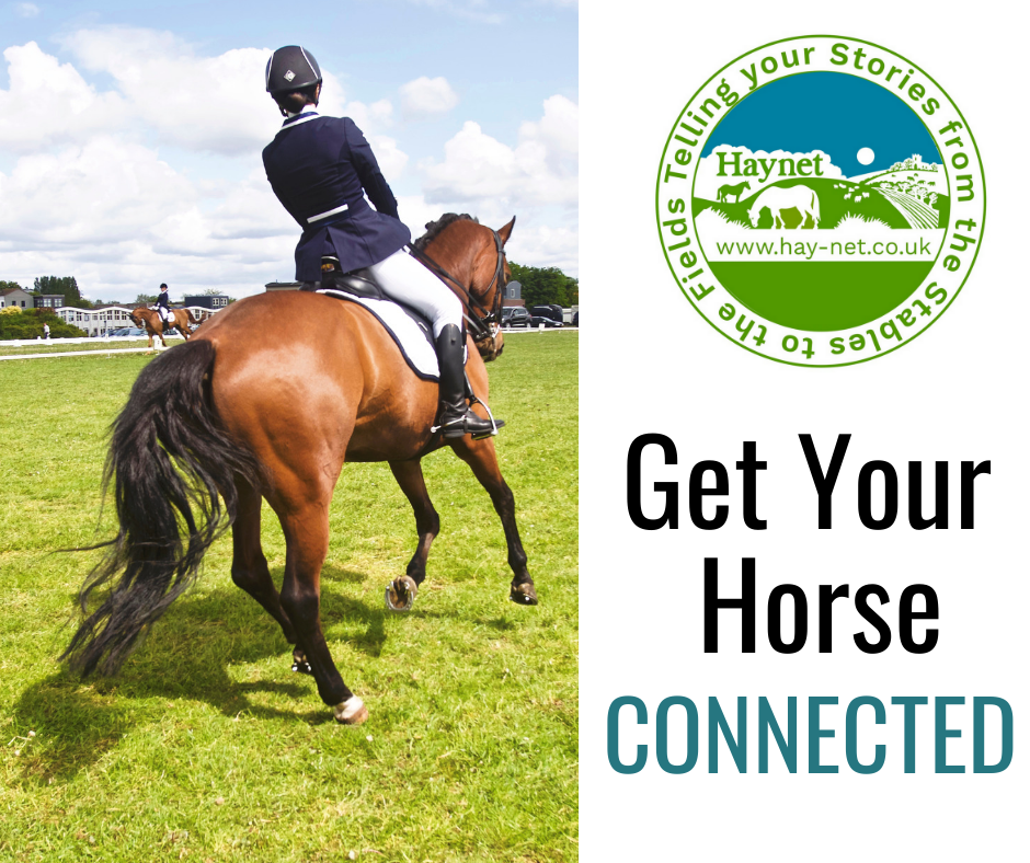 Get Your Horse Connected