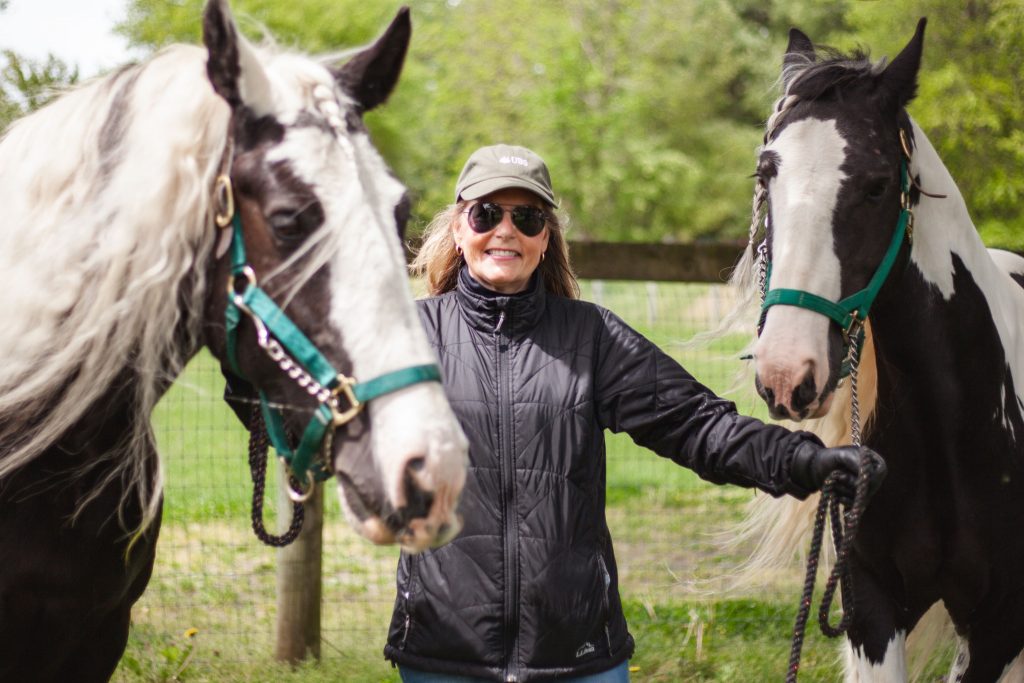 Stevie and Harley's Purpose  by Diana Hasen - How Horses Have A Purpose