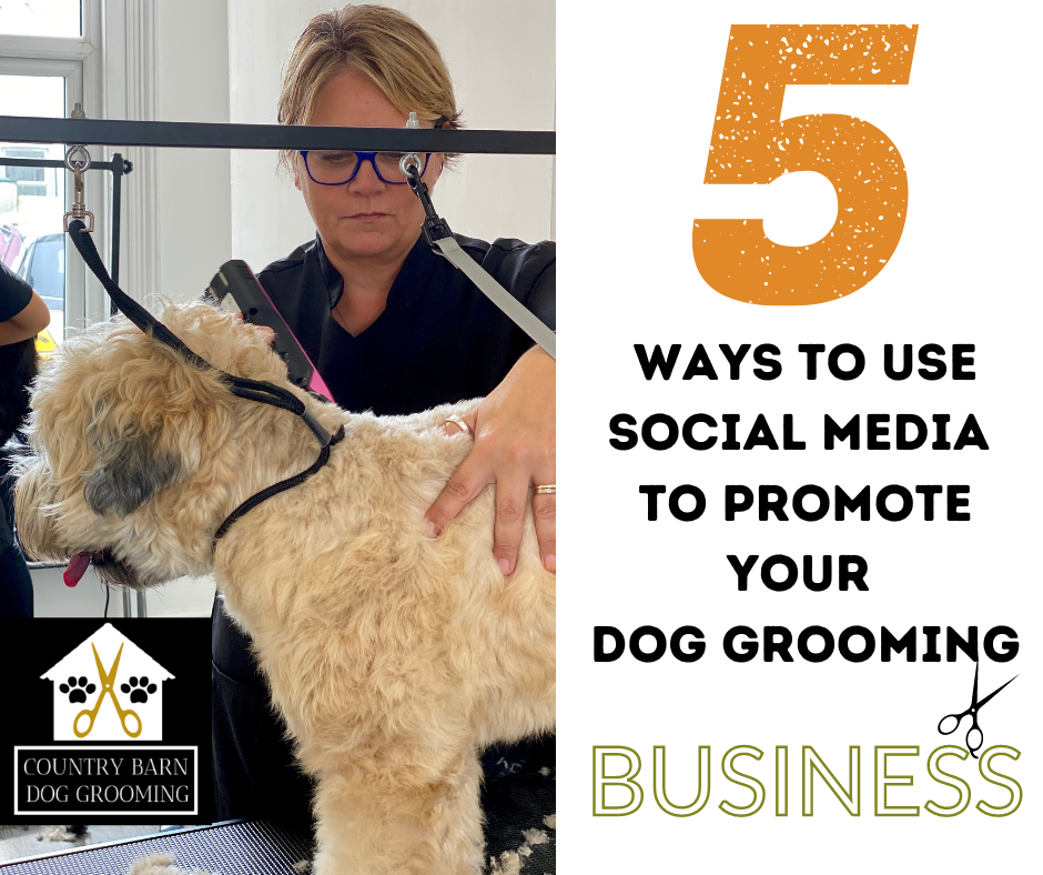 5 Ways To Promote Your Dog Grooming Business Through Social Media