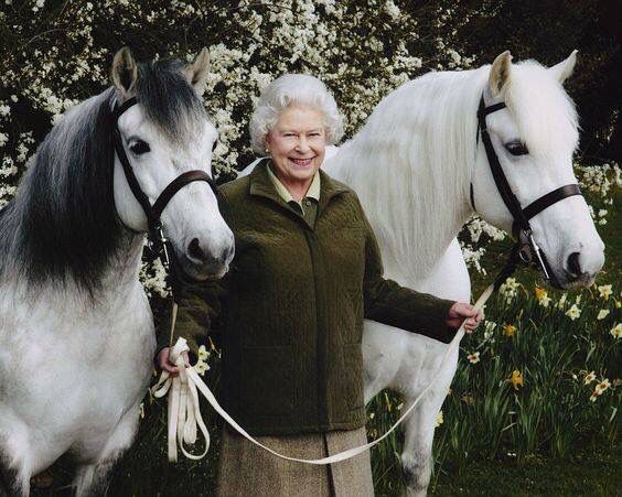 The Queen and her Horses