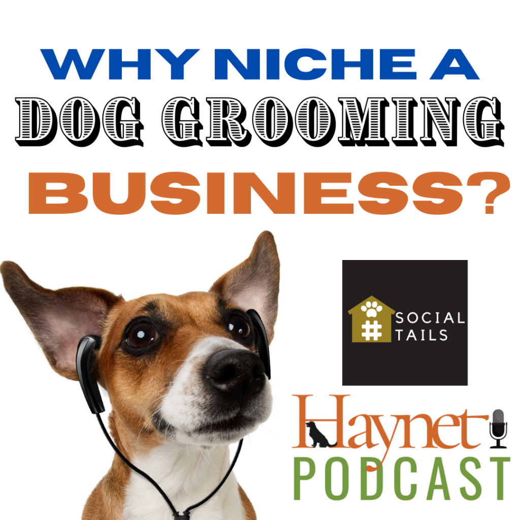 Why Niche A Dog Grooming Business?