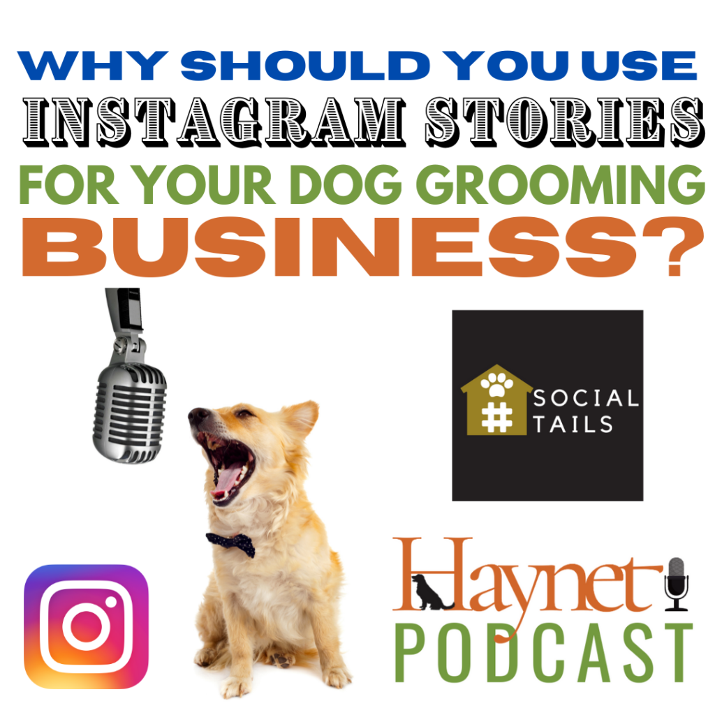 Why Use Instagram Stories For Your Dog Grooming Business?