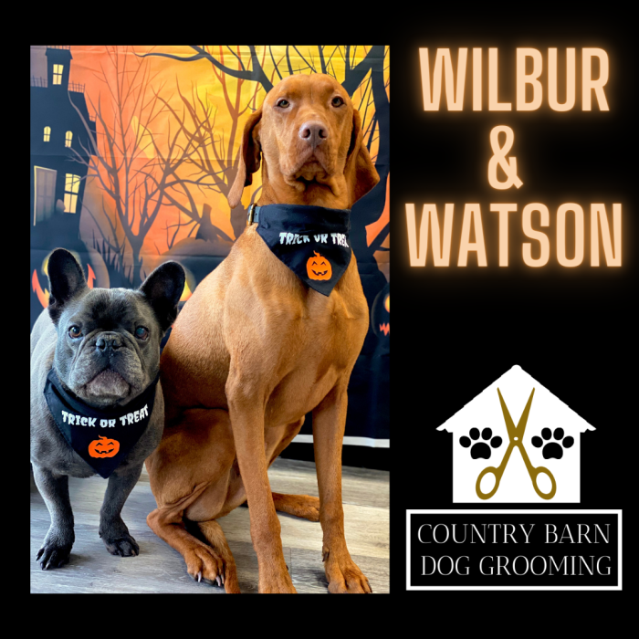 Wilbur & Watson